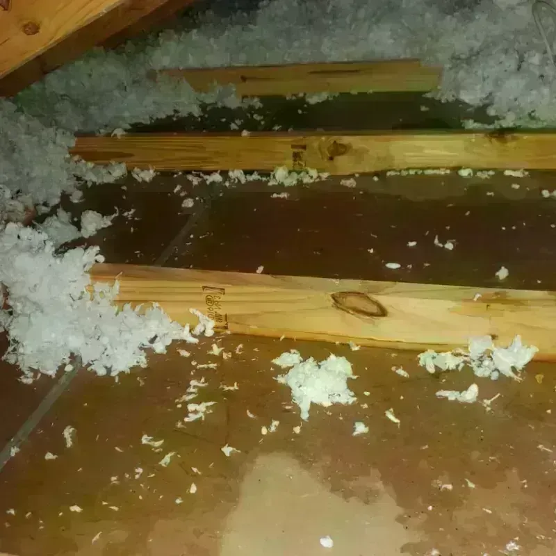 Attic Water Damage in Jeffersonville, KY